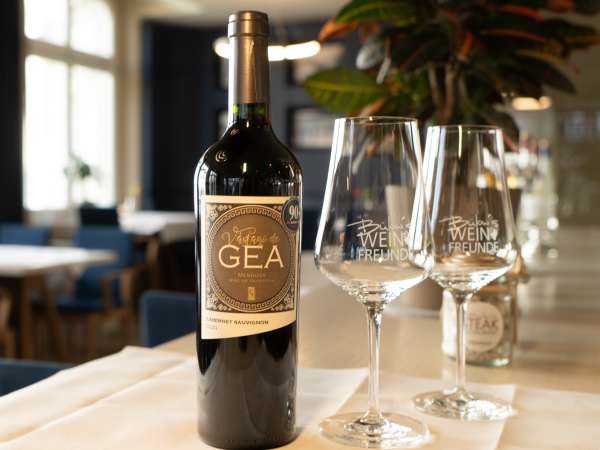 Vástago de Gea - Cabernet Sauvignon 2020