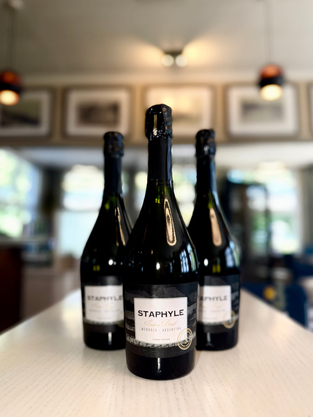 Staphyle Schaumweine - Extra Brut | 6er Karton